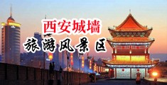 骚货被操无码中国陕西-西安城墙旅游风景区